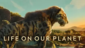 Zasłona к сериалу "Życie na planecie Ziemia" #1446534