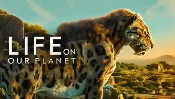 Zasłona к сериалу "Życie na planecie Ziemia" #1446535