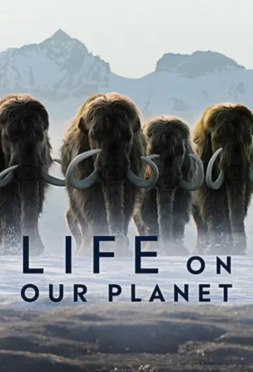 Plakat к сериалу "Życie na planecie Ziemia" #1446547