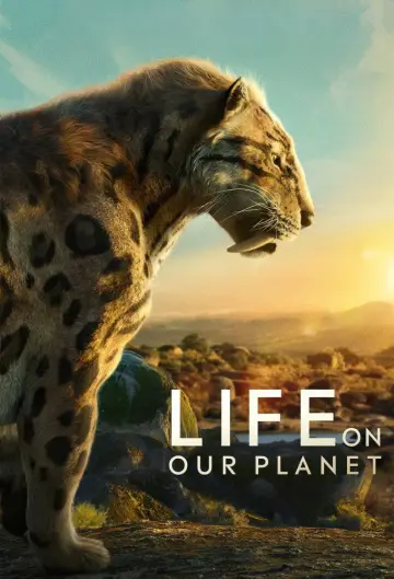 Plakat к сериалу "Życie na planecie Ziemia" #1446561