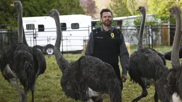 Zasłona к сериалу "Animal Control" #1357905