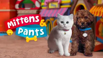 Zasłona do serialu "Mittens & Pants" #1434733