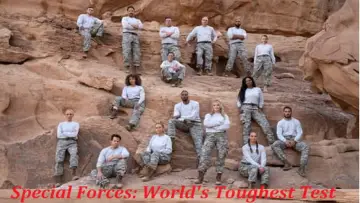 Zasłona к сериалу "Special Forces: World