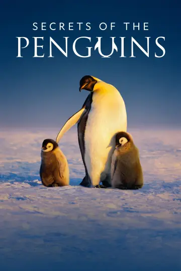 Plakat do serialu "Sekretne życie pingwinów" #1502030