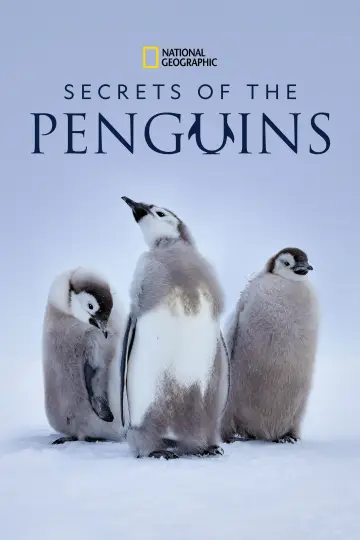 Plakat do serialu "Sekretne życie pingwinów" #1502033