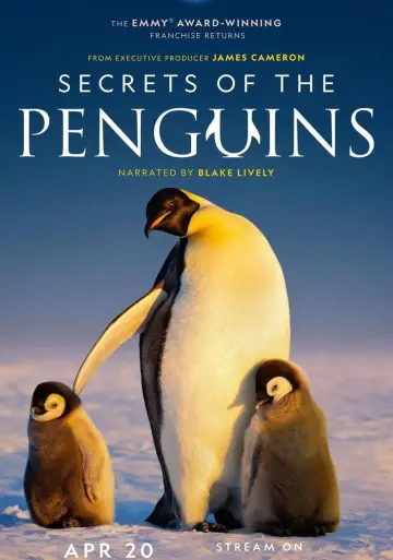 Plakat do serialu "Sekretne życie pingwinów" #1502034