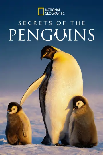 Plakat do serialu "Sekretne życie pingwinów" #1502037