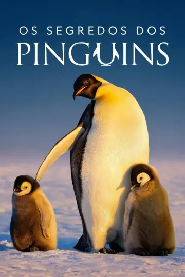 Plakat do serialu "Sekretne życie pingwinów" #1502041