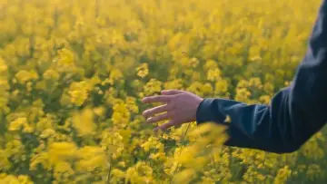 Zasłona к сериалу "Dobra robota" #1328189