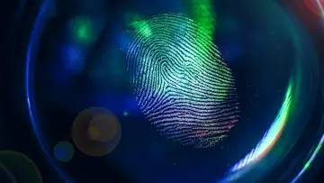 Zasłona do serialu "Cold Case Forensics" #1669484