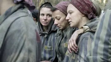 Zasłona do serialu "Tatuażysta z Auschwitz" #1849916