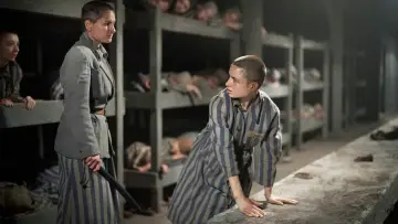 Zasłona do serialu "Tatuażysta z Auschwitz" #1849921
