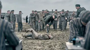 Zasłona do serialu "Tatuażysta z Auschwitz" #1849922