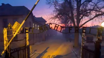 Zasłona do serialu "Tatuażysta z Auschwitz" #1849928