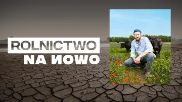 Zasłona do serialu "Rolnictwo na nowo" #1852367