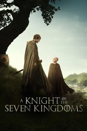 Plakat к сериалу "Rycerz Siedmiu Królestw" #1301364