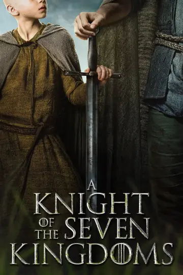 Plakat к сериалу "Rycerz Siedmiu Królestw" #1301369