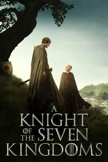 Plakat к сериалу "Rycerz Siedmiu Królestw" #1301370