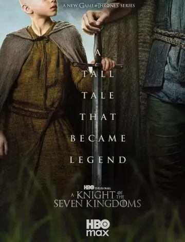 Plakat к сериалу "Rycerz Siedmiu Królestw" #1301387