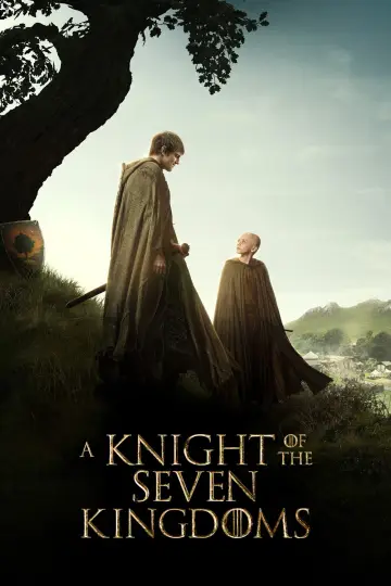 Plakat к сериалу "Rycerz Siedmiu Królestw" #1301400