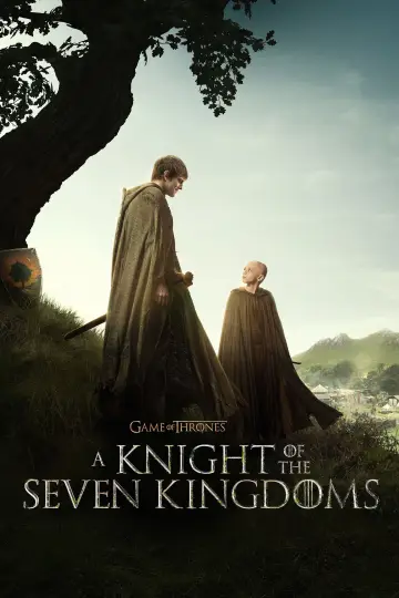Plakat к сериалу "Rycerz Siedmiu Królestw" #1301409