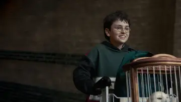 Zasłona do serialu "Harry Potter" #1662230