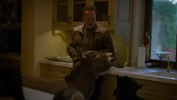 Zasłona к сериалу "Arnold" #1459420