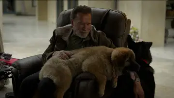 Zasłona к сериалу "Arnold" #1459422