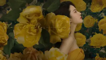Zasłona do serialu "玫瑰的故事" #1546439