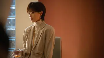 Zasłona do serialu "玫瑰的故事" #1546443