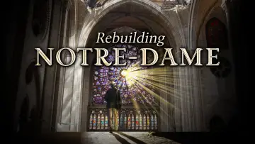 Zasłona do serialu "Odbudowa Notre-Dame" #1557422
