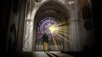 Zasłona do serialu "Odbudowa Notre-Dame" #1557423