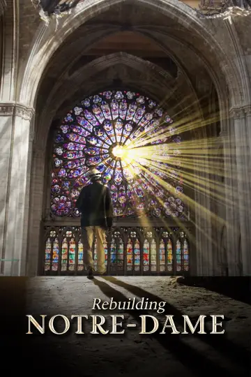 Odbudowa Notre-Dame plakat