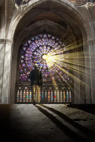Plakat do serialu "Odbudowa Notre-Dame" #1557431