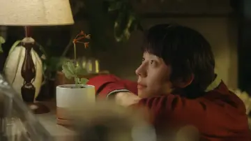 Zasłona к сериалу "찬란한 너의 계절에" #1478692