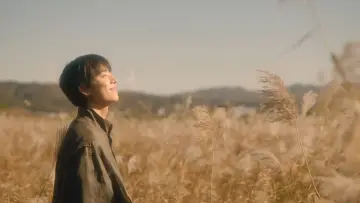 Zasłona к сериалу "찬란한 너의 계절에" #1478699