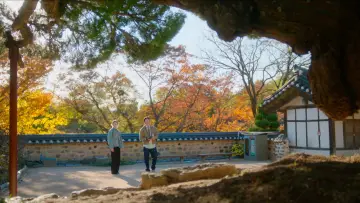 Zasłona к сериалу "찬란한 너의 계절에" #1478709