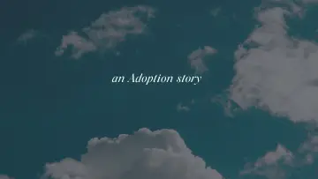 Zasłona do serialu "Historia adopcji" #1790870