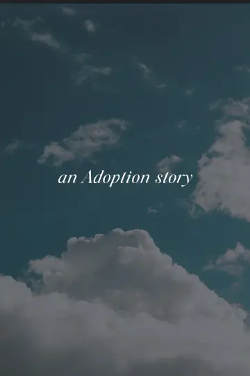 Plakat do serialu "Historia adopcji" #1790873