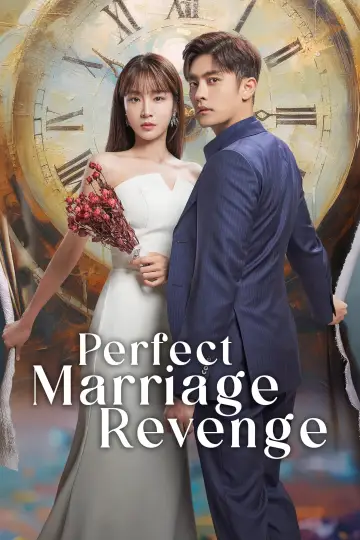 Perfect Marriage Revenge plakat