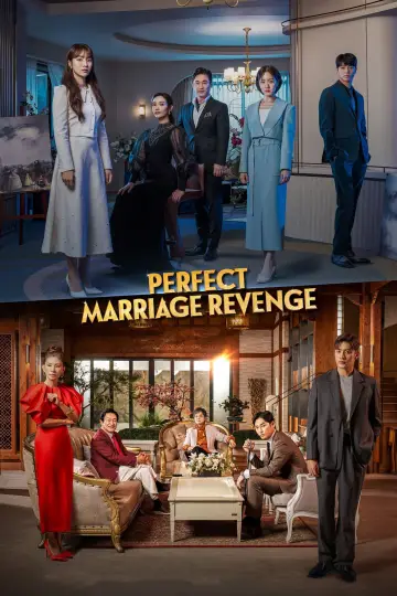 Plakat do serialu "Perfect Marriage Revenge" #1835321