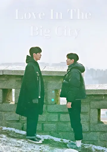 Plakat к сериалу "대도시의 사랑법" #1472999