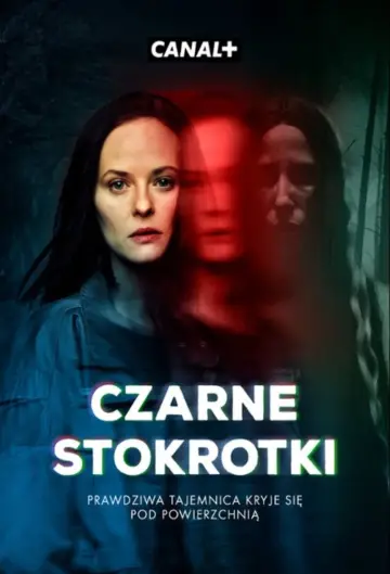 Czarne Stokrotki plakat