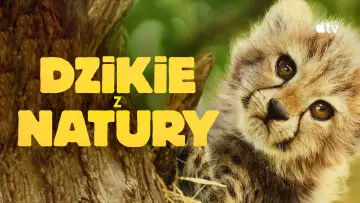 Zasłona do serialu "Dzikie z natury" #1503631
