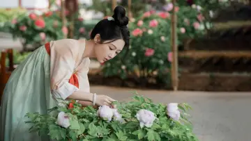 Zasłona к сериалу "国色芳华" #1473264