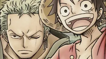 Zasłona do serialu "Rejestr postaci One Piece" #1813323