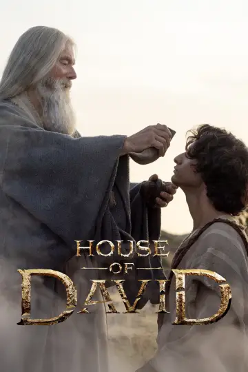 Plakat к сериалу "Dom Dawida" #1332344