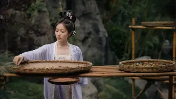 Zasłona к сериалу "朝雪录" #1447841
