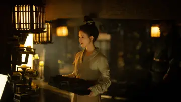 Zasłona к сериалу "珠帘玉幕" #1436223