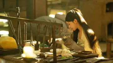 Zasłona к сериалу "珠帘玉幕" #1436227